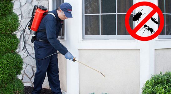 Örnekköy Fare İlaçlama böcek ilaçlama ve haşere kontrolü — ilaclama-tr.com